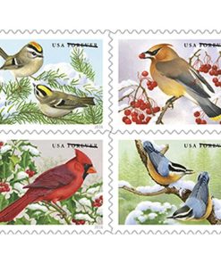 Songbirds in Snow 2016 First-Class Postage USPS Forever Stamps 100pcs/Pack (20PCS/Booklet)