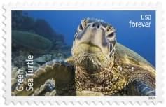 Protect Sea Turtles Stamps 2024 First-Class Postage USPS Forever Stamps 90pcs/Pack (18PCS/Booklet)