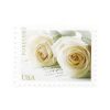 2011 Wedding Roses First-Class Postage USPS Forever Stamps 100pcs/Pack (20PCS/Booklet)