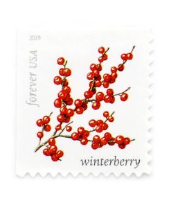 2019 US Winter Berries First-Class Postage USPS Forever Stamps 100pcs/Pack (20PCS/Booklet)